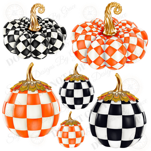 Checkered Pumpkin Bunch