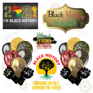 BLACK HISTORY BB FLASH 8014